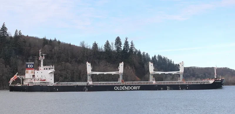 CERES ONE Bulk Carrier IMO 9698434 photo 4