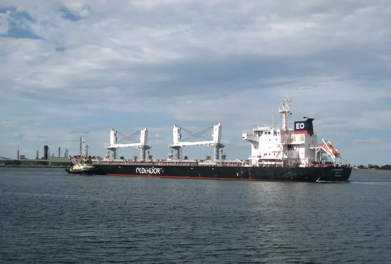 CERES ONE Bulk Carrier IMO 9698434 photo 8