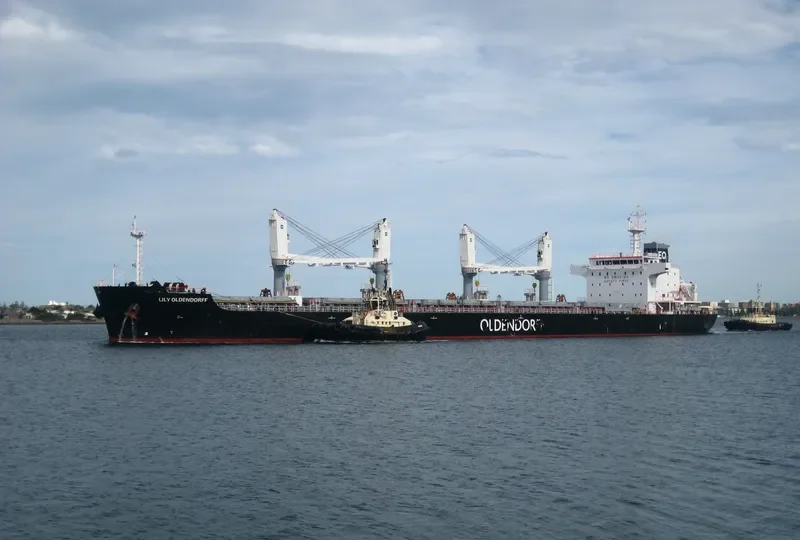 CERES ONE Bulk Carrier IMO 9698434 photo 10