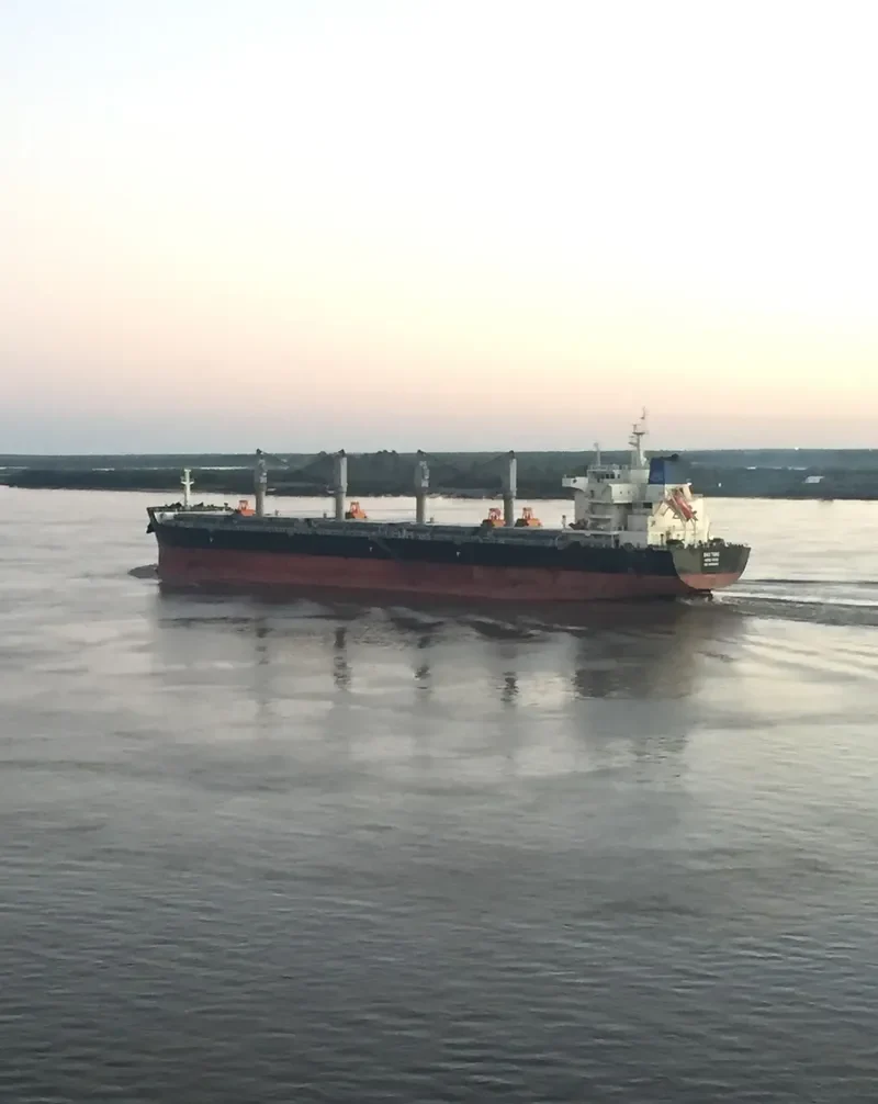 HAMBURG EAGLE Bulk Carrier IMO 9698587