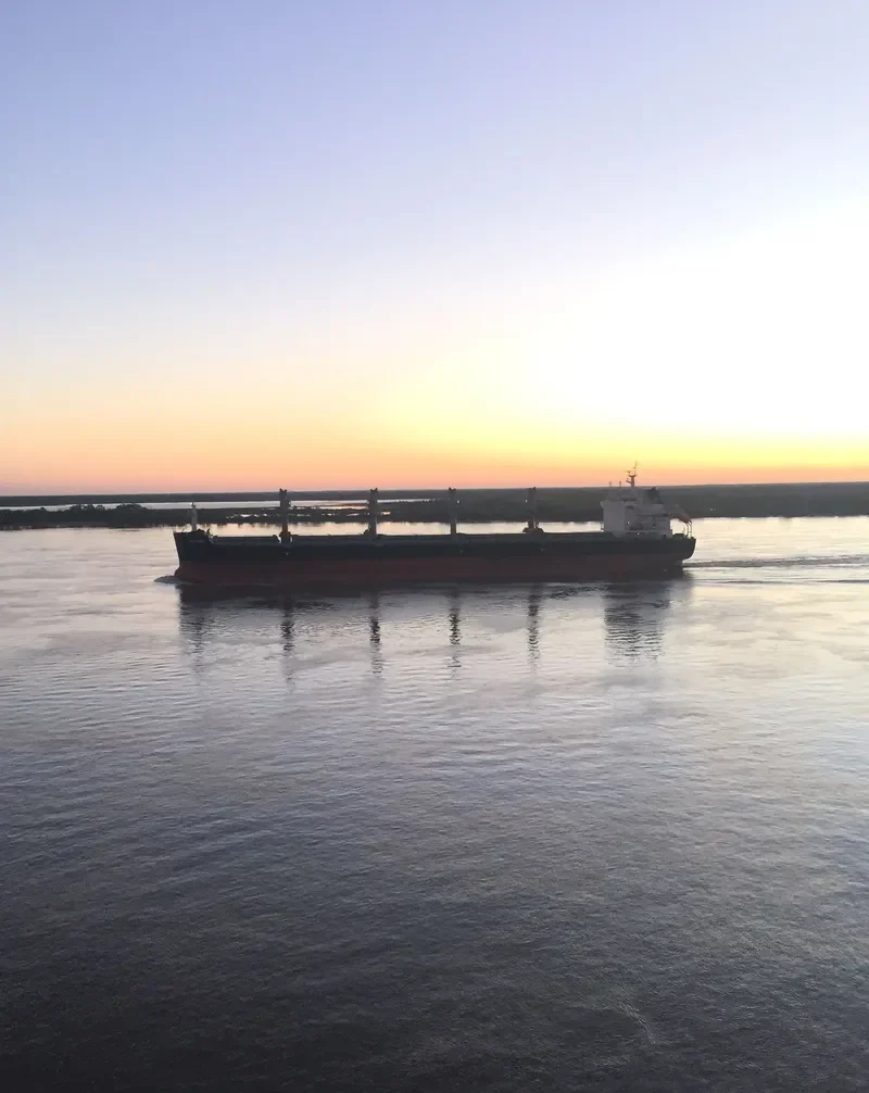 HAMBURG EAGLE Bulk Carrier IMO 9698587 photo 2