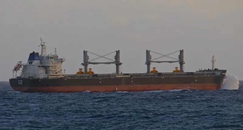 HAMBURG EAGLE Bulk Carrier IMO 9698587 photo 3