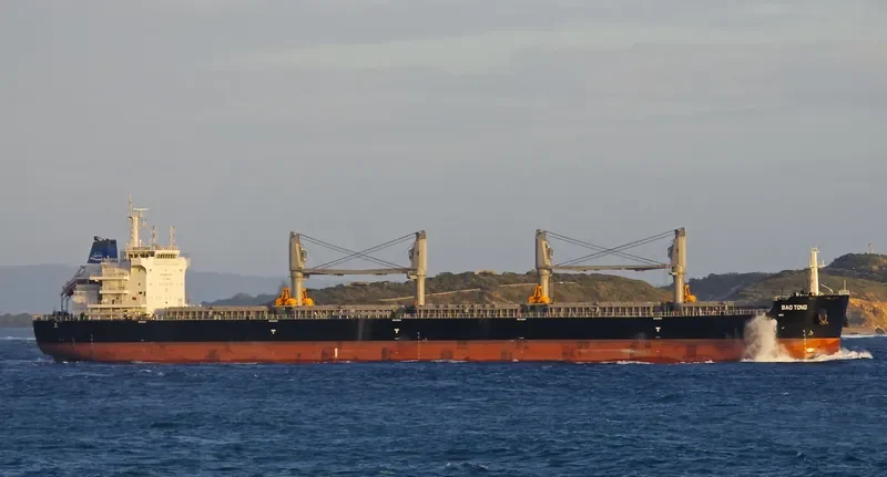 HAMBURG EAGLE Bulk Carrier IMO 9698587 photo 4