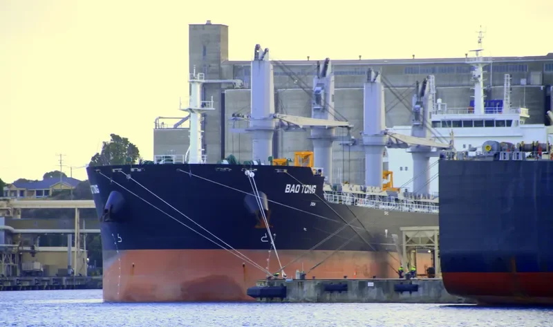 HAMBURG EAGLE Bulk Carrier IMO 9698587 photo 5