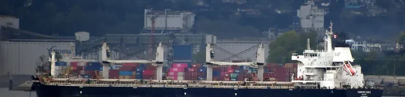 HAMBURG EAGLE Bulk Carrier IMO 9698587 photo 8