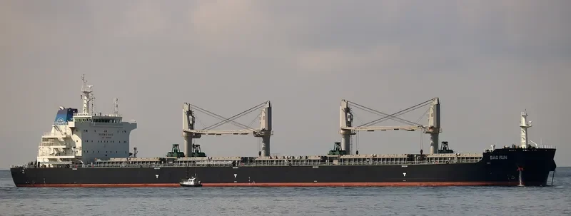 BAO RUN Bulk Carrier IMO 9698599 photo 5