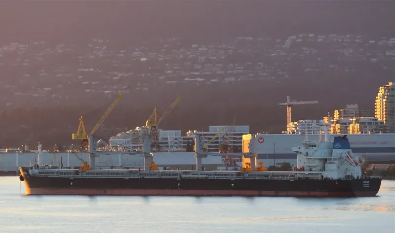 BAO RUN Bulk Carrier IMO 9698599 photo 8