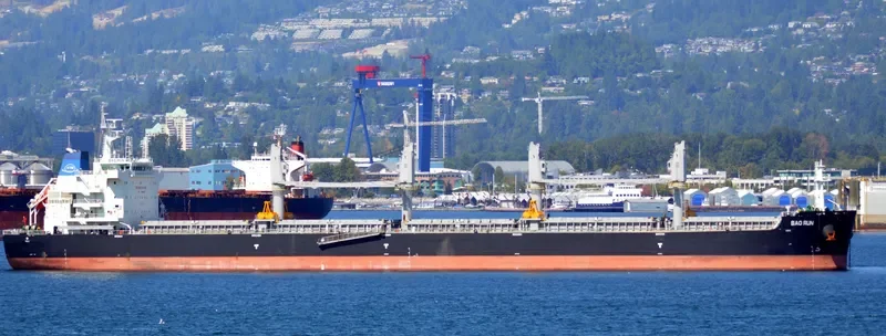 BAO RUN Bulk Carrier IMO 9698599 photo 9