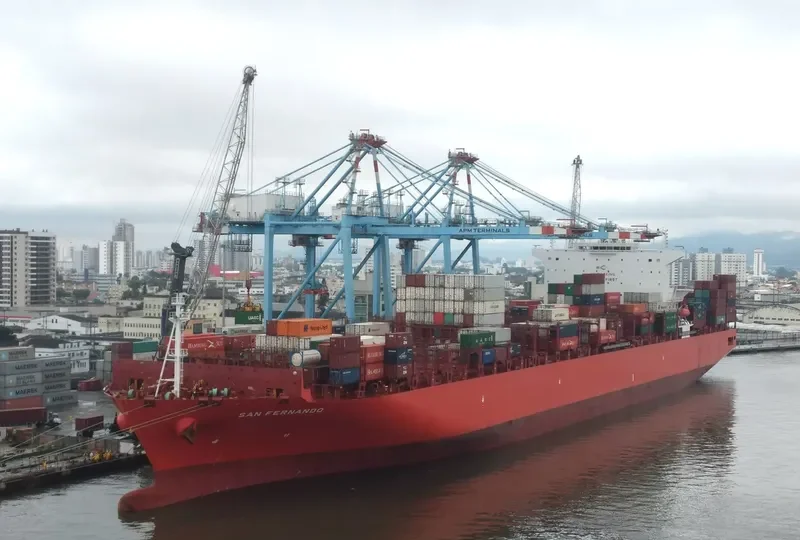 SAN FERNANDO Container Ship IMO 9698642
