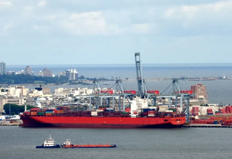 SAN FERNANDO Container Ship IMO 9698642 photo 6