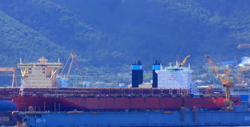 SAN FERNANDO Container Ship IMO 9698642 photo 9