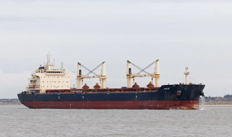 APUS Bulk Carrier IMO 9698795