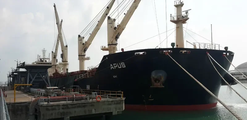 APUS Bulk Carrier IMO 9698795 photo 2