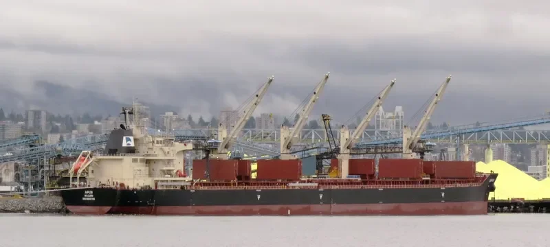 APUS Bulk Carrier IMO 9698795 photo 3