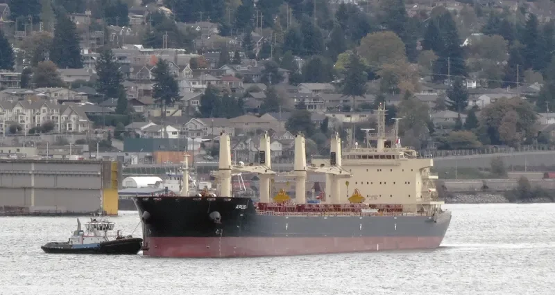 APUS Bulk Carrier IMO 9698795 photo 4