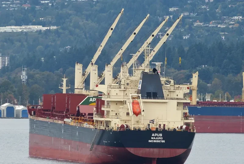 APUS Bulk Carrier IMO 9698795 photo 5