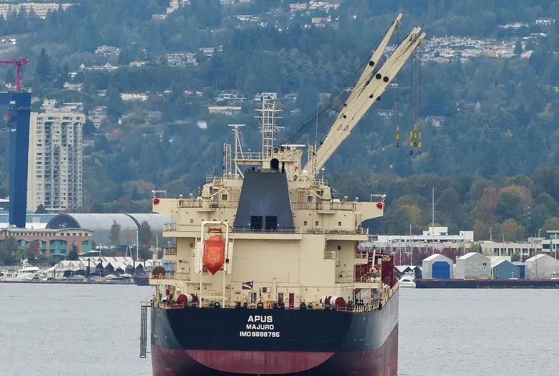 APUS Bulk Carrier IMO 9698795 photo 6