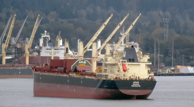 APUS Bulk Carrier IMO 9698795 photo 7