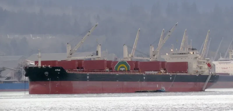 APUS Bulk Carrier IMO 9698795 photo 8