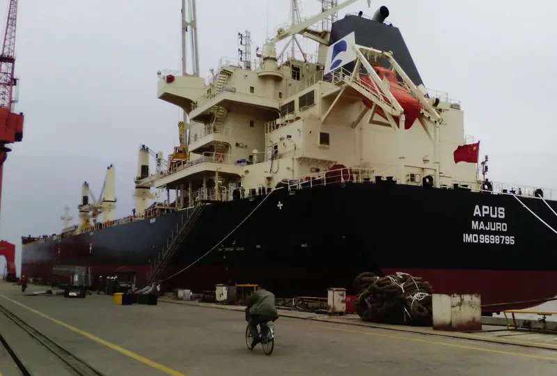 APUS Bulk Carrier IMO 9698795 photo 9