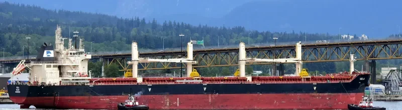 NICOS TOMASOS Bulk Carrier IMO 9698800