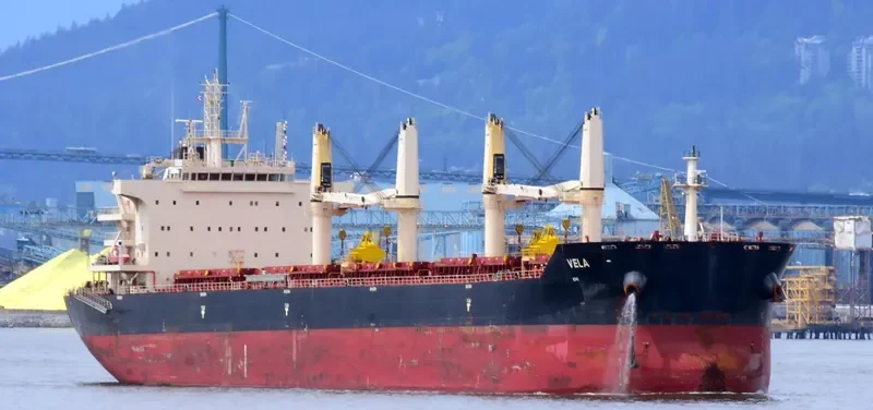 NICOS TOMASOS Bulk Carrier IMO 9698800 photo 2