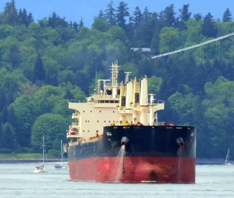 NICOS TOMASOS Bulk Carrier IMO 9698800 photo 3