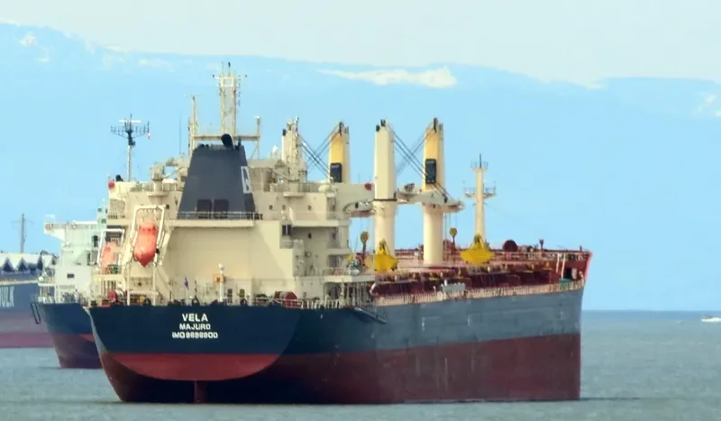 NICOS TOMASOS Bulk Carrier IMO 9698800 photo 4