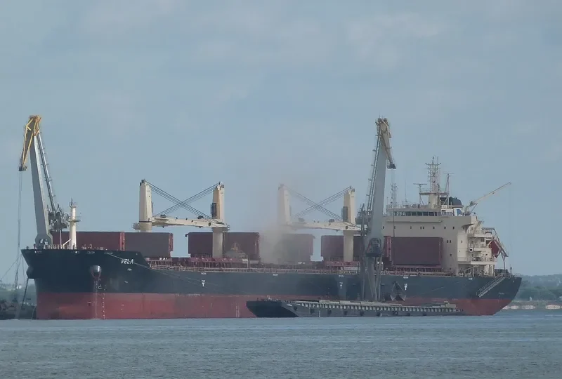 NICOS TOMASOS Bulk Carrier IMO 9698800 photo 5