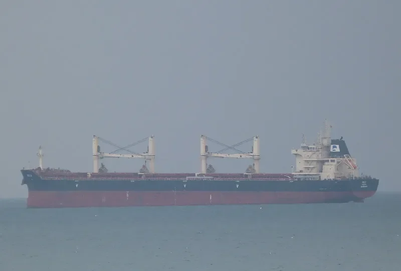 NICOS TOMASOS Bulk Carrier IMO 9698800 photo 7