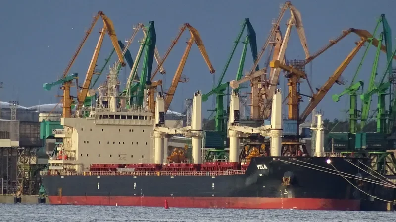 NICOS TOMASOS Bulk Carrier IMO 9698800 photo 8