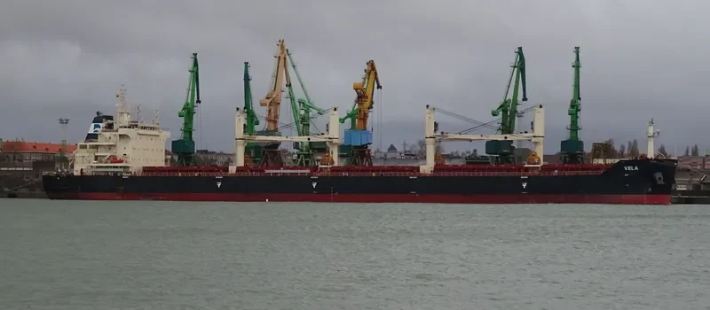 NICOS TOMASOS Bulk Carrier IMO 9698800 photo 9