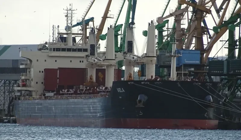NICOS TOMASOS Bulk Carrier IMO 9698800 photo 10