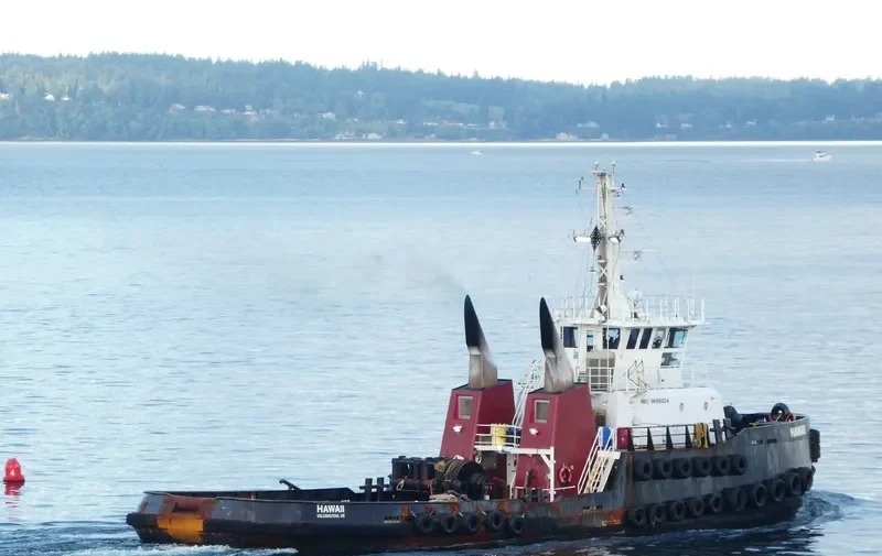 HAWAII General Cargo IMO 9698824