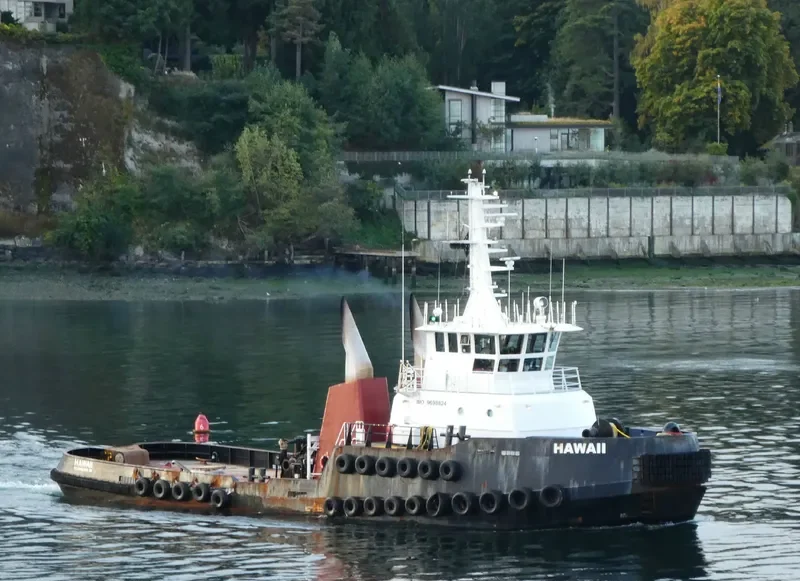 HAWAII General Cargo IMO 9698824 photo 3