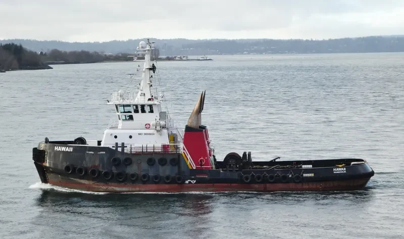 HAWAII General Cargo IMO 9698824 photo 7