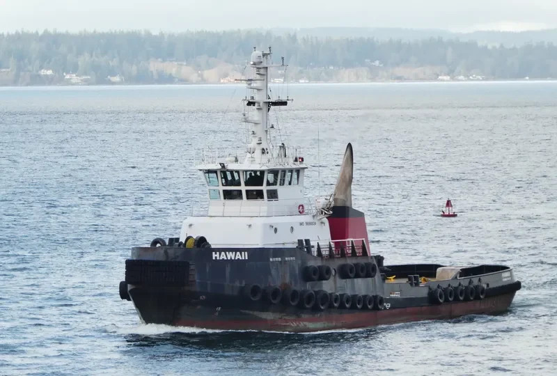 HAWAII General Cargo IMO 9698824 photo 8