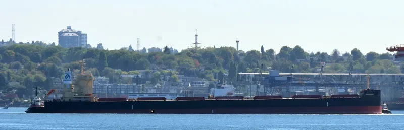 MACHERAS Bulk Carrier IMO 9698850 photo 2