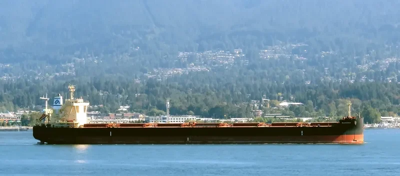 MACHERAS Bulk Carrier IMO 9698850 photo 3