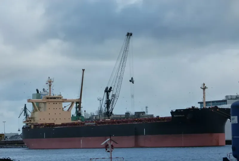 MACHERAS Bulk Carrier IMO 9698850 photo 5