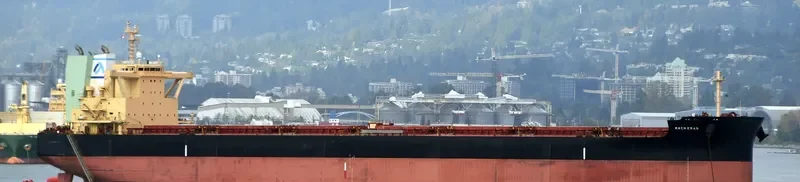 MACHERAS Bulk Carrier IMO 9698850 photo 6