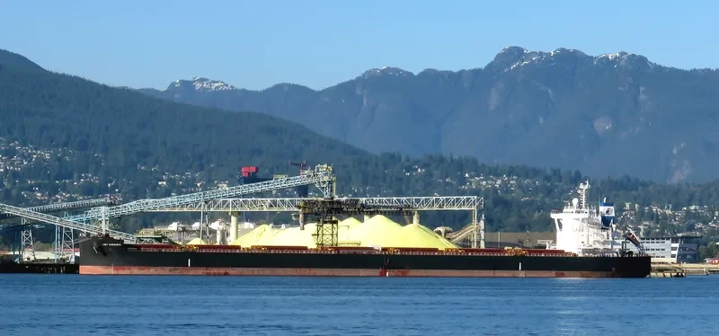 STAR VIRGINIA Bulk Carrier IMO 9698874