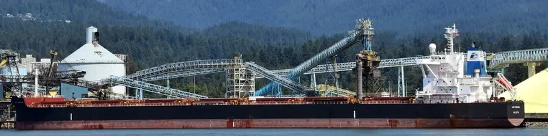 STAR VIRGINIA Bulk Carrier IMO 9698874 photo 2