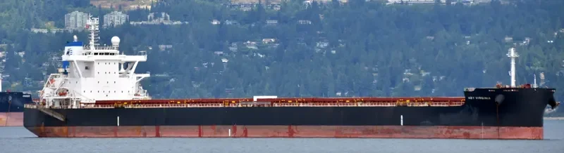 STAR VIRGINIA Bulk Carrier IMO 9698874 photo 3