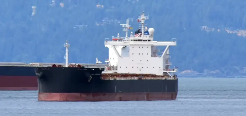 STAR VIRGINIA Bulk Carrier IMO 9698874 photo 4