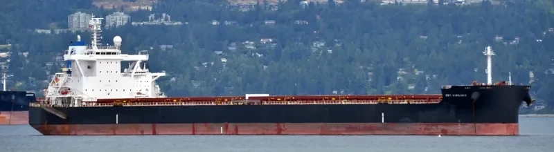 STAR VIRGINIA Bulk Carrier IMO 9698874 photo 5