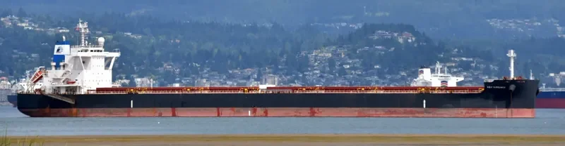STAR VIRGINIA Bulk Carrier IMO 9698874 photo 6