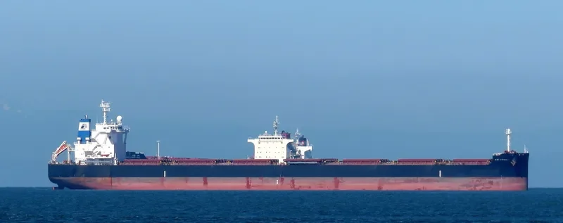 STAR VIRGINIA Bulk Carrier IMO 9698874 photo 7