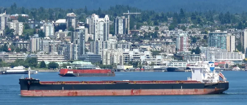 STAR VIRGINIA Bulk Carrier IMO 9698874 photo 8