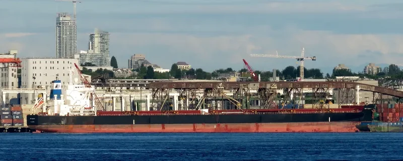 STAR VIRGINIA Bulk Carrier IMO 9698874 photo 9
